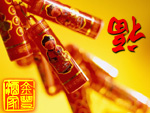 Happy Spring Festival